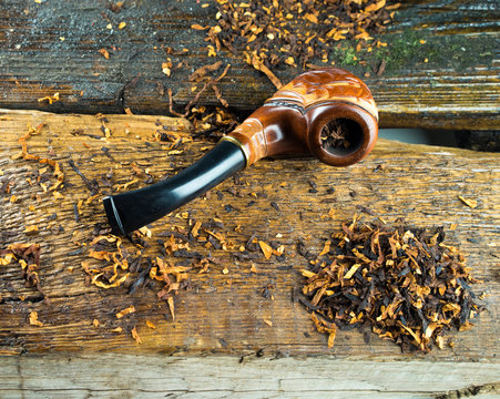 Pipe smoking is on the cracked, dried-up tree