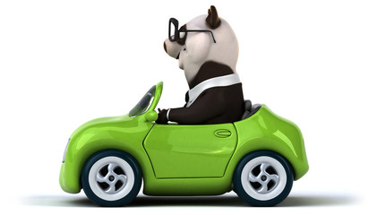 Fun panda © Julien Tromeur