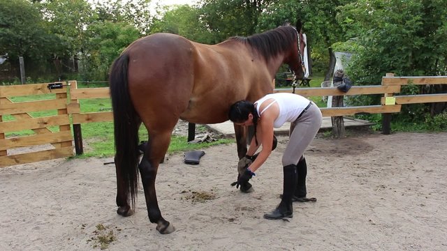 Girl preparing a horse for riding