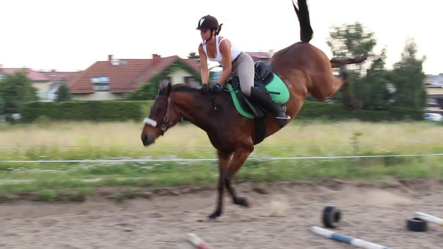 Girl breaks in a horse