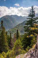 Fototapeta na wymiar Tatra mountains.