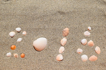 Fototapeta na wymiar 砂に貝殻で２０１６／海岸の砂浜で拾った貝殻を“２０１６”と並べて撮影した写真です。貝殻のテクスチャ、海イメージ、夏イメージ、新年用の背景用素材として使用できる写真です。