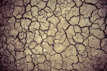  cracked clay ground