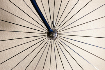 Isolated bicycle wheel spokes