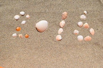 Fototapeta na wymiar 砂に貝殻で２０１６／海岸の砂浜で拾った貝殻を“２０１６”と並べて撮影した写真です。貝殻のテクスチャ、海イメージ、夏イメージ、新年用の背景用素材として使用できる写真です。