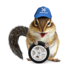 Funny craftsman chipmunk with auto tire