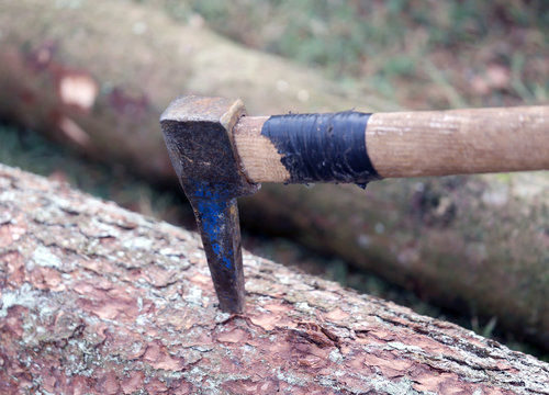 large Harpoon used by lumberjack to drag tree trunks