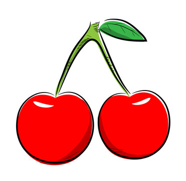 Cherries, a hand drawn vector illustration of two cherries, isolated on a white background.