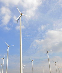 Fototapeta premium windmill farm on sunny day