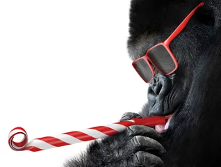 Foto auf Acrylglas Affe Lustiger Gorilla mit roter Sonnenbrille, der eine Party feiert, indem er ein gestreiftes Horn bläst