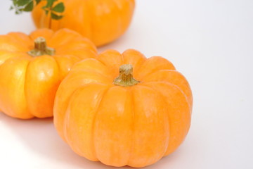  かぼちゃ 