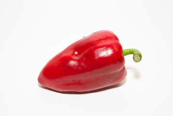 One ripe red peppers on over white