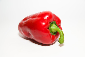 One ripe red peppers on over white