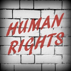 The phrase Human Rights in red text on a brick wall background processed in black and white for effect
