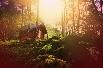 Dreamy forest at sunset with wooden hut