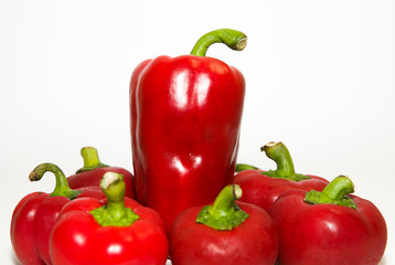 Many ripe red peppers on over white