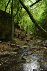 wild stream Brodenbach next to Mosel River