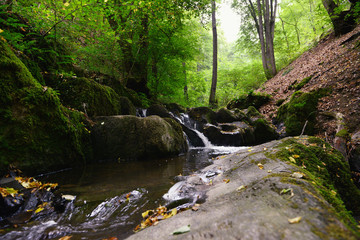 Naklejka na ściany i meble wild stream Brodenbach next to Mosel River