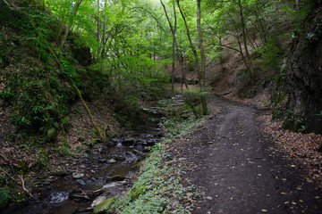 Fototapeta na wymiar hiking path along wild stream Brodenbach next to Mosel River