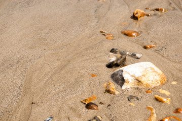 Row of pebbles it the sand
