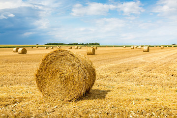 Hay bales