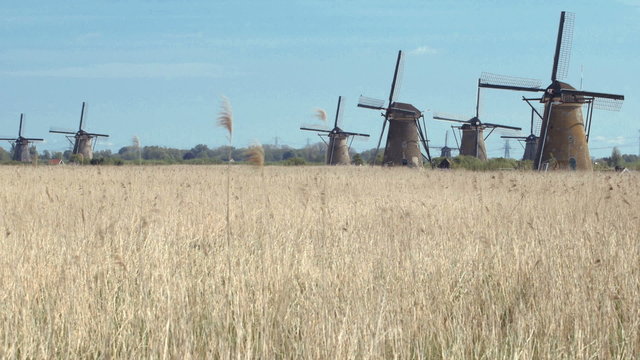 Windmill in Holland standing at green meadow. Ancient windmills near Kinderdijk, Netherlands.