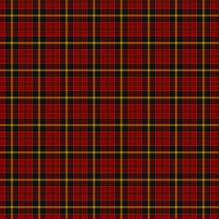 Clan MacAlister of Skye Tartan