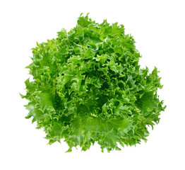 Fresh green lettuce leafs isolated on white background