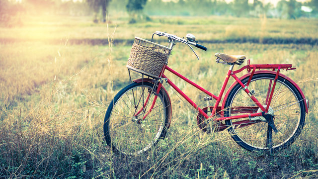 Vintage Bicycle with Summer grassfield ; vintage filtered tone s