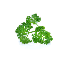 parsley isolated on white background