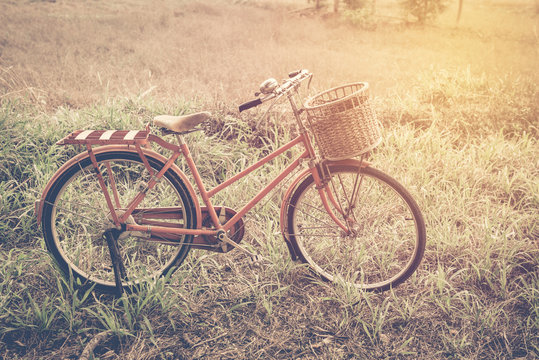 beautiful landscape image with red vintage bicycle at grass fiel