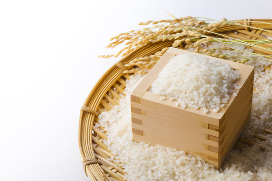お米イメージ　Japanese rice image