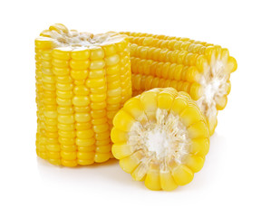 Corn on the cob kernels isolated Clipping Path
