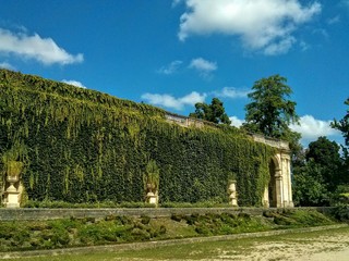Fototapeta na wymiar Jardin public de Bordeaux