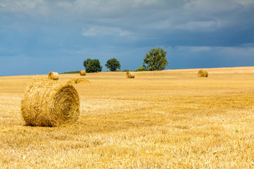 Fototapeta premium Hay bales