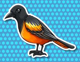 Bird with black and yellow feather