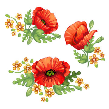 Flower bouquet . Red poppies flowers