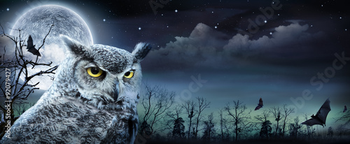Halloween Scene With Owl And Full Moon