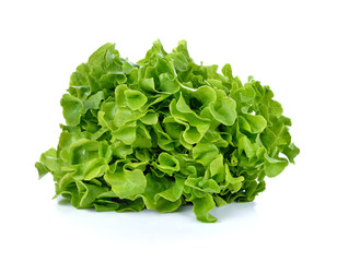 Fototapeta na wymiar Fresh salad lettuce isolated on white