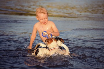 Boy playing with dogs in the ocean