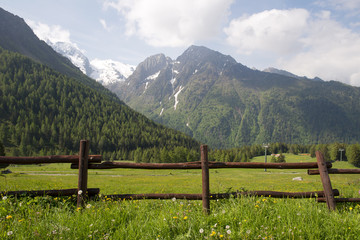 Fototapeta premium Adamello Brenta Natural Park