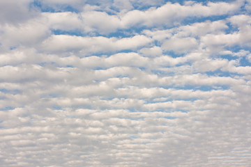 Cirrocumulus clouds above the horizon - Dense fluffy cirrocumulus clouds formation against the blue sky just above the ocean horizon. - obrazy, fototapety, plakaty