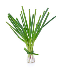 Green onion isolated on the white background