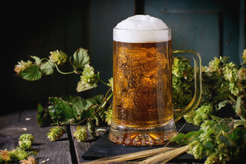 Mug of lager beer