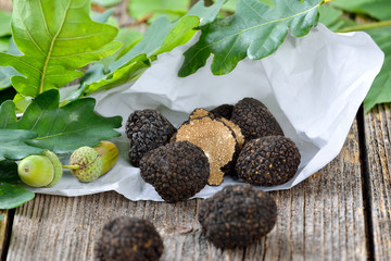Schwarze Tr&uuml;ffeln aus Frankreich - tuber uncinatum - in Einschlagpapier und mit Eichenlaub