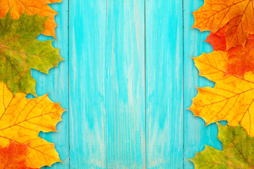 Autumn frame on a blue board