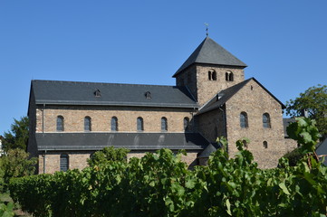 Fototapeta na wymiar Vineyard abbey