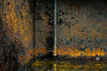 beautiful rust