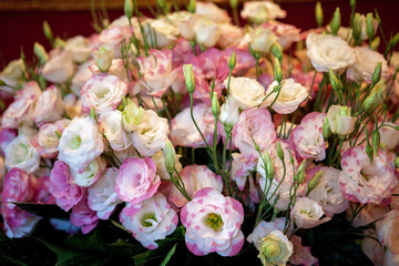 Bouquet of white and pink roses