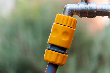 Old fountain water with a hose for watering